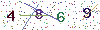 web code