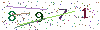 web code