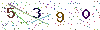 web code