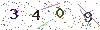 web code