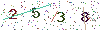 web code
