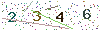 web code