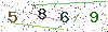 web code