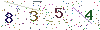 web code