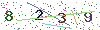 web code
