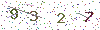 web code