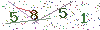 web code