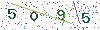 web code