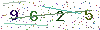 web code