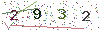 web code