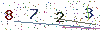 web code