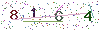 web code