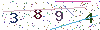 web code