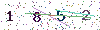 web code
