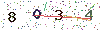 web code