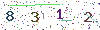 web code