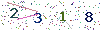 web code