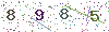 web code