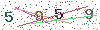 web code