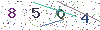 web code