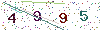 web code