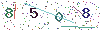 web code