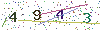 web code