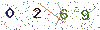 web code