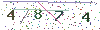 web code