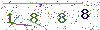 web code