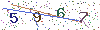 web code