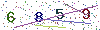 web code