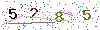 web code