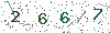 web code