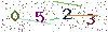 web code