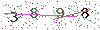 web code