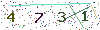 web code