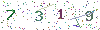 web code