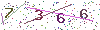 web code