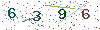 web code