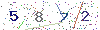 web code