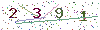 web code