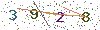 web code