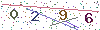 web code