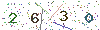 web code