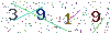 web code