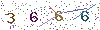 web code