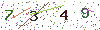 web code