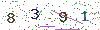 web code