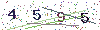 web code